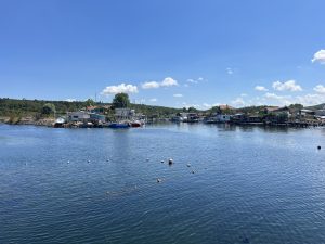 Министър Трайков разпореди да се премахнат радиоактивни отпадъци от терен в кв. „Малинова долина“