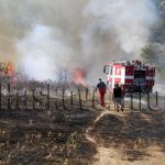 Общото събрание обявява процедура за избор на Председател на БАН