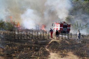 НСОРБ отстоява интересите на общините при реформите в обществения транспорт и регулацията на индивидуалните електрически превозни средства