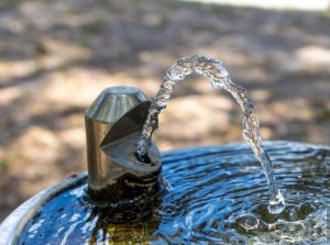 F.A.M.E стартира прием за третото издание на програмата за растеж за жени предприемачи