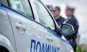 Изпълнителна агенция по горите | Новини