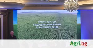 Изпълнителна агенция по горите | Новини