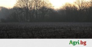 CAAS ще се съсредоточи върху „организирани изследвания“