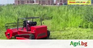 Община Бургас