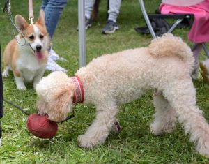 Официално откриха реновираната сграда на пожарната служба в Димитровград