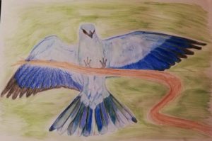 Решения от заседание на 27.11.2025 г.