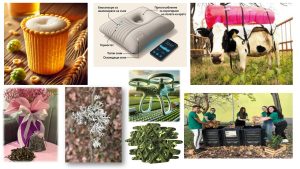 Общинският съвет одобри създаването на ново предприятие „Общинско имущество“