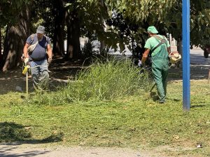Кметът на Община Благоевград Методи Байкушев посрещна медалистите от ТК „Фолкън“, завоювали световни титли по таекуон-до ITF