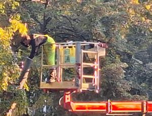 От 1 декември започва продажбата на стартовите пакети евромонети