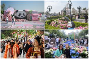 Община Пловдив обявява конкурс за куратор и  концепция за Националните  есенни  изложби  през  2026 година