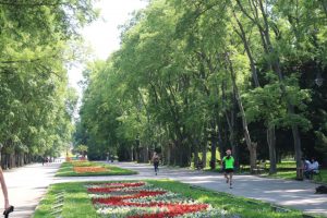 TikTok се завръща след забраната