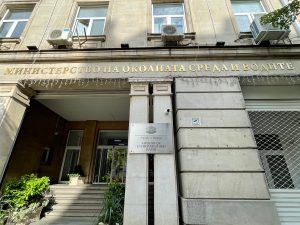 ДАБДП призова общините за превантивни мерки срещу свободното движение на селскостопански животни по пътищата