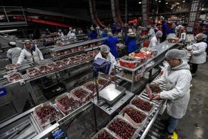 Осигуряват се допълнителни 10 000 000 лв. по бюджета на Държавен фонд „Земеделие“