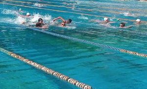 Месечна карта за градския транспорт от едно евро за пенсионери и безплатно пътуване за всички учащи ще бъде предложено в Хасково през новата година