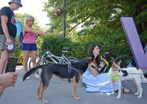 Приютът за безстопанствени кучета се включи в изложение в подкрепа на бездомните животни