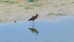Бивш главен икономист на СТО: Китай вероятно ще се превърне в основен център на търсене