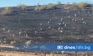 Пожарът в Българово тръгнал от вадене с трактор на тръба от земята