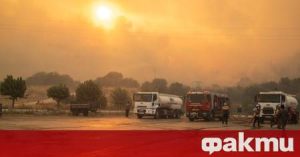 Небрежност предизвика десетки горски пожари в Турция през юли