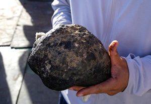 МТСП предлага добавките за Коледа и Великден да са за всички нуждаещи се и да влязат в закон