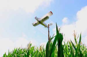 Oнлайн Кръгла маса за малки и средни предприятия от ЕС – Online EU SME Roundtable EU-Canada Trade, 26 March 2026