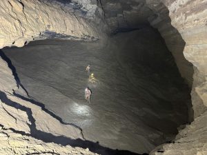 52 вкаменелости на гигантски панди, открити в най-дългата пещера в Азия