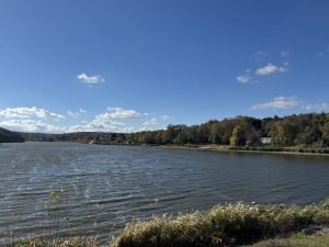 Porsche China ще съкрати работни места на фона на усилията за реорганизация · TechNode