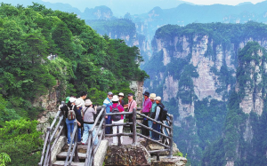 Върховна красота, която създава връзки, свързва културата