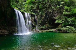 Съживената река се превръща в източник на екологичен и икономически успех