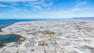 Кои региони на ЕС имат най-висока селскостопанска продукция?