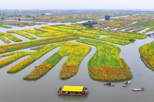 На първо четене са приети промените в Закона за движението по пътищата, предвиждащи нов ред за регистрация на ИЕПС