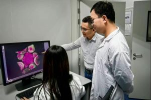 Нов механизъм подпомага растениевъдството и хранителната сигурност