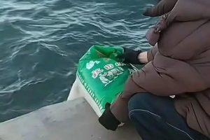 В Ляонин осъдиха фалшиви „освобождавания на живот“