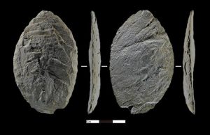 Откритие на голяма надморска височина хвърля светлина върху ранните заселници на Цинхай-Тибетското плато