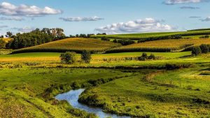 Над 43 млн. лева са наредени за последното плащане от индикативния график за 2025 – по НАТУРА 2000