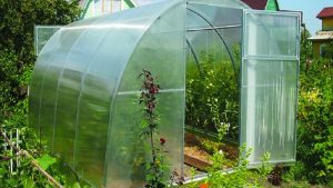 ДФЗ изплати близо 14 млн. лева по de minimis на стопаните, произвеждащи оранжерийна продукция, картофи, тютюн, култивирани гъби и маслодайна роза