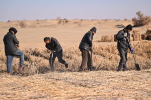 Местни фермери се борят с опустиняването в окръг Мою в Синдзян в Северозападен Китай