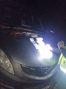 Изпълнителна агенция по горите | Новини