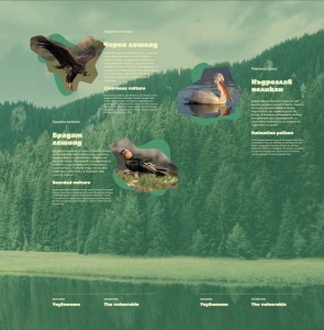 В Пловдив се открива изложбата „Уязвимите“