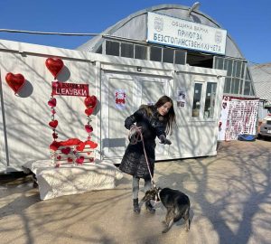 „Намери по-добрата си половинка“ в Общинския приют за безстопанствени кучета в с. Каменар