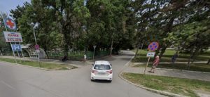 Резитба на опасно дърво затваря временно алея „Лилия“