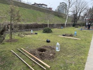 Инициатива за засаждане на дръвчета събра деца и родители на кея в Русе