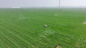 Технологиите ускоряват пролетната сеитба