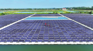 Експертите призовават за включване на фотоволтаичния сектор в енергийната рамка