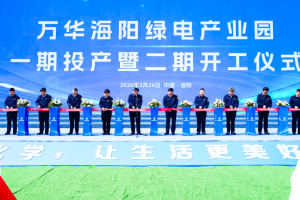 Yantai дава зелен хъб на батерията, докато Wanhua се захранва