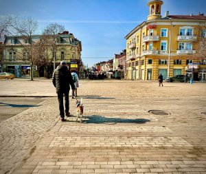 Изпълнителят на повдигнатото кръстовище при Халите ще го ремонтира за своя сметка