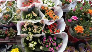 690 старозагорци празнуват имен ден на 26 март