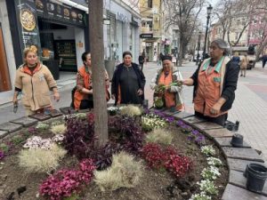 Главната на Пловдив разцъфна с хиляди нови цветя