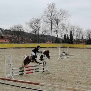 Отбелязаха Тодоровден на конна база „Виница“