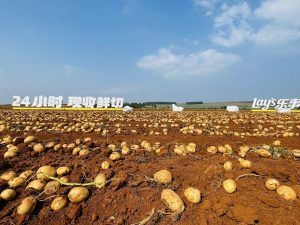 Изпълнителният директор на PepsiCo подчертава динамичния потребителски пазар на Китай