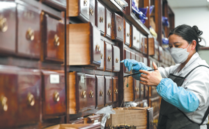 Фокусът върху младежта осветява глобалното пътуване на Da Ren Tang